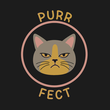 Angry Cat Face Closeup Portrait.