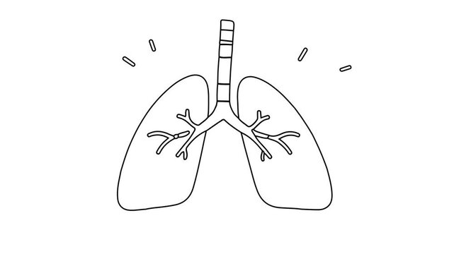 Human Lungs Anatomy Minimalist Line Art Vector Illustration