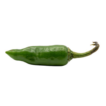 Single green jalapeno pepper on white background