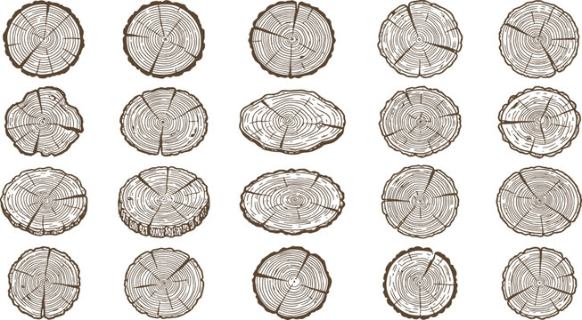 Circular wood log cross sections collection featuring realistic tree ring textures and natural grain patterns for rustic design elements forestry background material construction