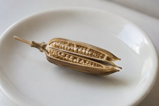 A dried sesame pod split open on a white plate, revealing tiny seeds.