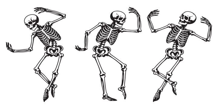 Three dancing skeletons vector illustration on white background, halloween decoration or party graphic element.