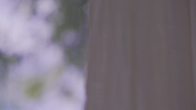 Rack focus from blurry green tree branches outside to white sheer curtain blowing gently in soft morning daylight. Cinematic B-roll shot