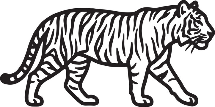 Tiger Silhouette Black And White Linear Illustration On A White Background