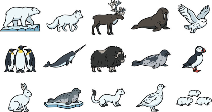 Arctic polar animal vector icon set collection featuring colored illustrations of polar bear penguin narwhal walrus seal puffin reindeer and arctic fox