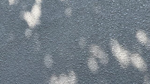 Dappled Leaf Shadows on Urban Gray Wall with Spacious Copy Space