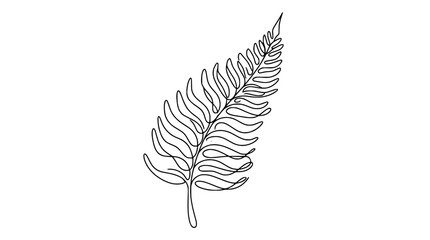 Minimalist single line drawing of a fern frond, elegant botanical art © illustration