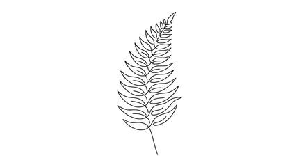 Minimalist fern leaf line art, elegant botanical illustration, single plant branch outline © illustration