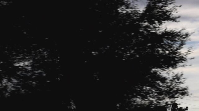 Transmission Tower Silhouette Against Evening Sky 180fps Captured in Cinematic High Detail Footage