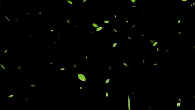 Green leaves are flying in slow motion. Green Leaves flying with Alpha Channel, Autumn spring season leaves fall,
Falling Leaves Storm &ndash; Whirlwind of Autumn Foliage Loop
