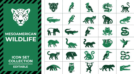 Fototapeta premium Central american wildlife icon set with jaguar and jungle animals