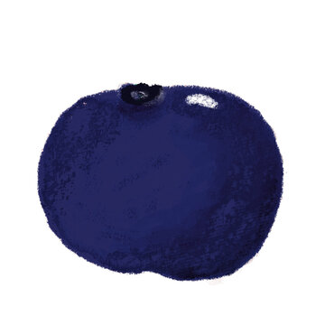 Ripe bluberry illustration with crayon brush style