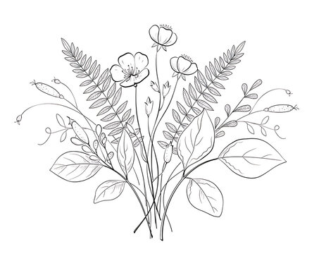 Hand Drawn Wildflower Bouquet Botanical Line Art Illustration, Minimalist Floral Outline with Leaves and Branches