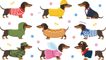 Cute dachshund dog character set in playful costumes with bones and paw print elements © SAHARA