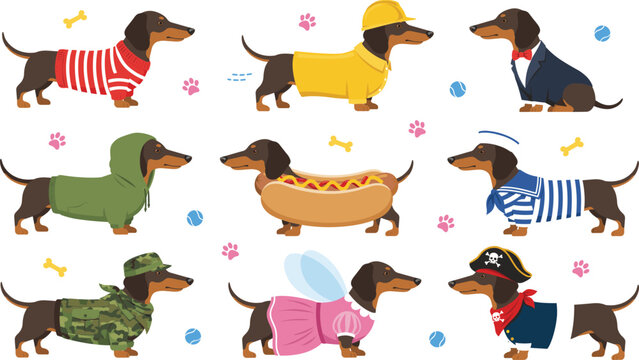 Cute dachshund dog character set in playful costumes with bones and paw print elements