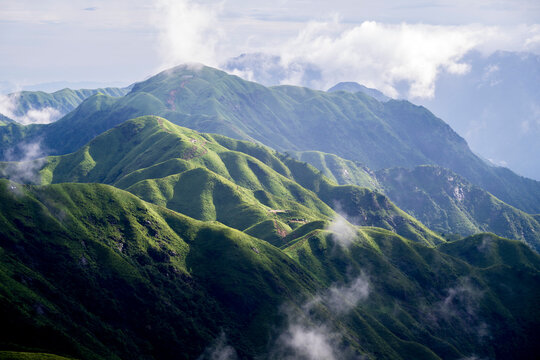 Alpine Meadows of Wugong Mountain, Jiangxi, China
