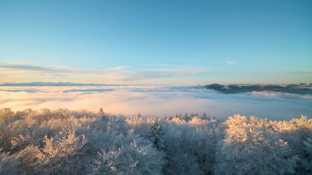 Breathtaking winter morning time-lapse of a sea of clouds rolling over snow-covered forest mountains