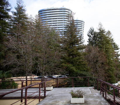 beautiful green spaces in the well-maintained park of Sochi in winter