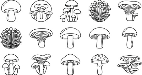 Edible and wild mushroom line art icon set featuring chanterelle enoki enokitake and agaric fungi vectors © Sabbir Studio
