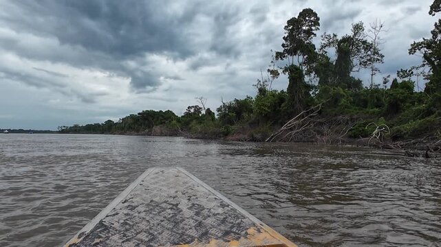 Boat in the jungle