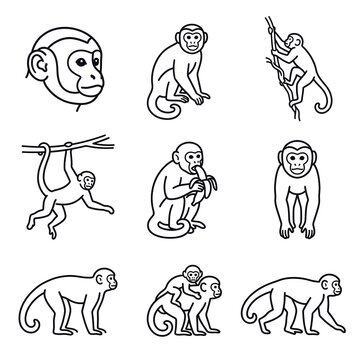 Set of cute monkey icons in black and white line art