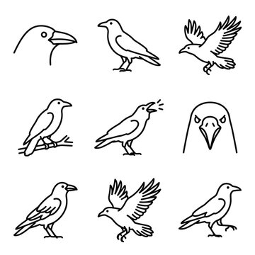 Set of simple black line crow bird icons