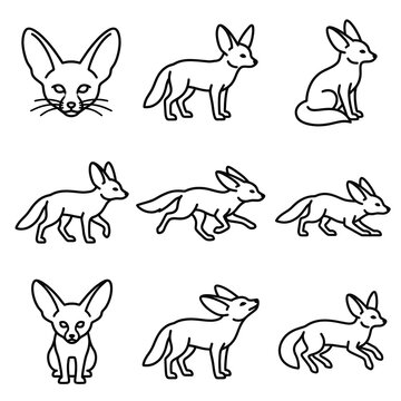 Set of fennec fox outline icons in different poses