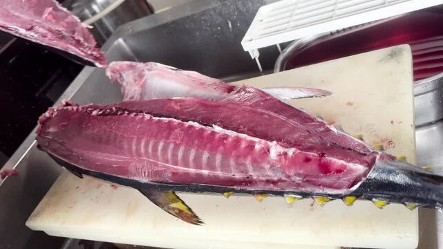 Young Tuna Cut Open along the Body by Hand: Japanese Chef's Tuna Butchery (Meji Maguro), Step 3 of 8