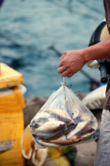 Close-up of a fisherman's weathered hand holding a plastic bag filled with fresh sea fish © Minh