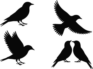 Fototapeta premium Bird Silhouette Collection Black Vector Set with Flying and Perched Birds Isolated