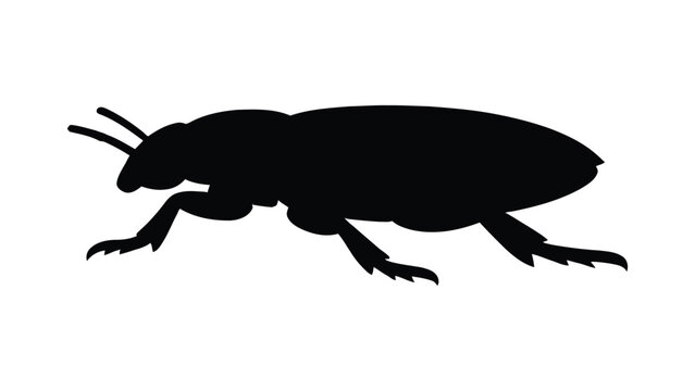 black insect silhouette icon with elongated body, six legs and antennae, simple stylized beetle or cockroach design, clean minimal vector outline for logos, symbols, pest, nature themes