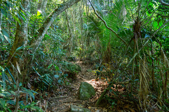 Saco do Mamangua, a tropical fiord in Paraty, Rio de Janeiro