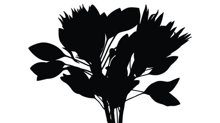 Black silhouette of lush protea flower arrangement with large petals and decorative leaves isolated on transparent background vector illustration. © MST DESIGN