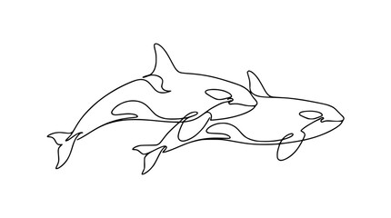 Two Orcas, Killer Whales, Continuous Line Drawing, Ocean Wildlife Art © Yusuf