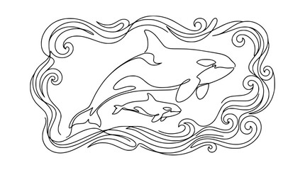 Orca Whales Family Portrait Line Art Illustration © Yusuf