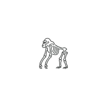 Gorilla Skeleton Line Art Logo Vector for Wildlife Anatomy and Primate Illustration