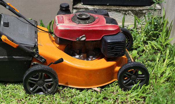An orange engine-powered lawn mower being used to cut green grass in a backyard garden.