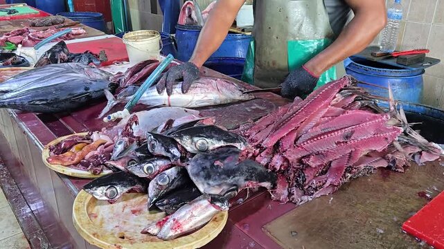 Hands of man cutting head and fins and fillet tuna fish at local fish market.