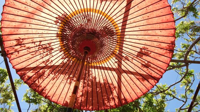 Plant Shadows Swaying on a Traditional Japanese Paper Umbrella
