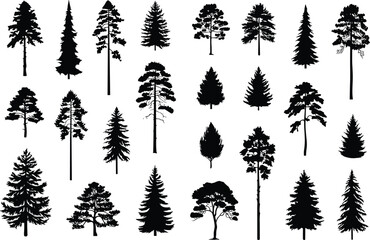 Fototapeta premium Evergreen Pine Tree Silhouette Collection Set