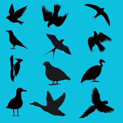 Obraz premium Flying birds silhouettes vector set. Black shapes of pigeons, eagles, crows, swallows, and seagulls flying in the sky isolated on background.