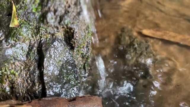 Small stream of fresh water splashing onto mossy rocks