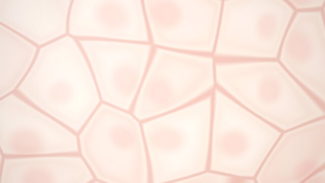 Abstract cellular structure with nuclei