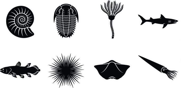 Marine Life and Prehistoric Sea Creatures Silhouette Icon Set Featuring Trilobite Ammonite Shark Stingray Squid and Fossils