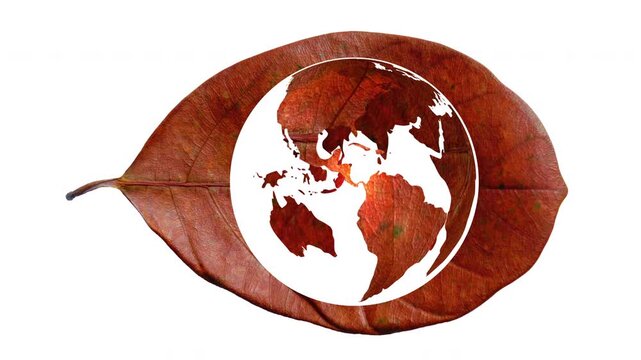 A dry leaf designed in the shape of a world map, representing ecology, sustainability, climate change, environmental conservation, biodiversity, and global awareness. Ideal for Earth Day.