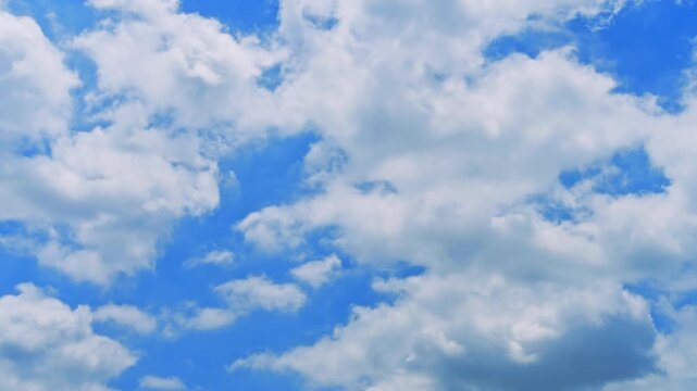 都会の日常を見上げる、東京の空模様