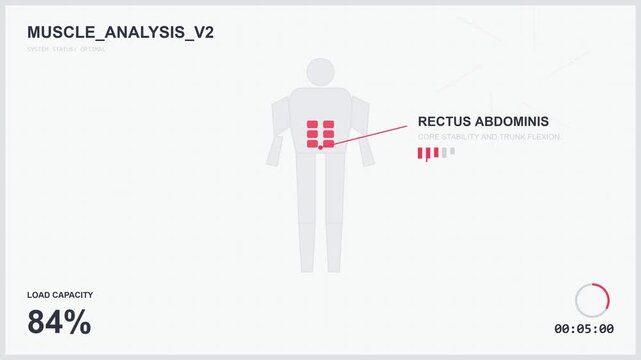 Animated Muscle Focus Heatmap Diagram Showing Human Anatomy and Physiological Activity in 4K Motion
