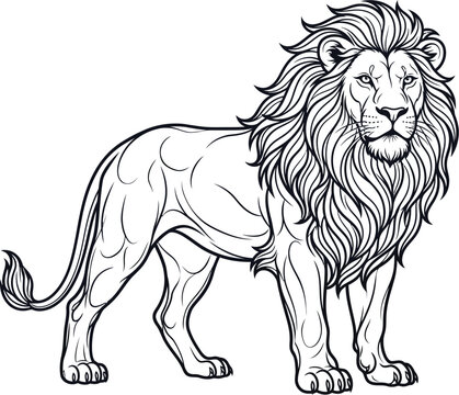 Majestic lion standing proudly with a powerful mane and strong physique in a striking black and white illustration.