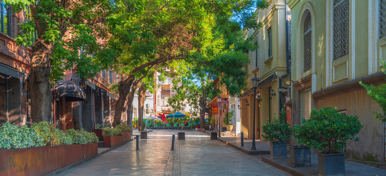 Cozy cozy pedestrian street in old Tbilisi with green trees and copy space