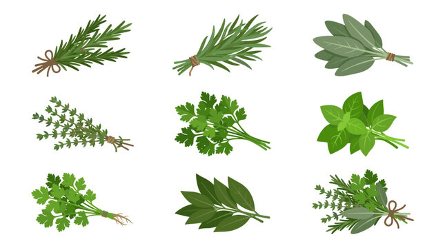Collection of nine flat color vector icons depicting various cooking herb bundles and bouquets, including rosemary, tarragon, sage, thyme, parsley, basil, and bay leaves, arranged in a 3x3 grid on a